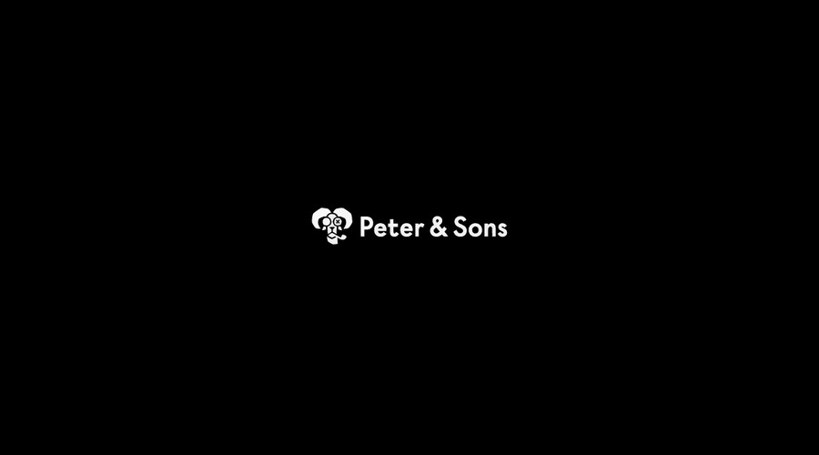 About Peter & Sons Casino Software Provider